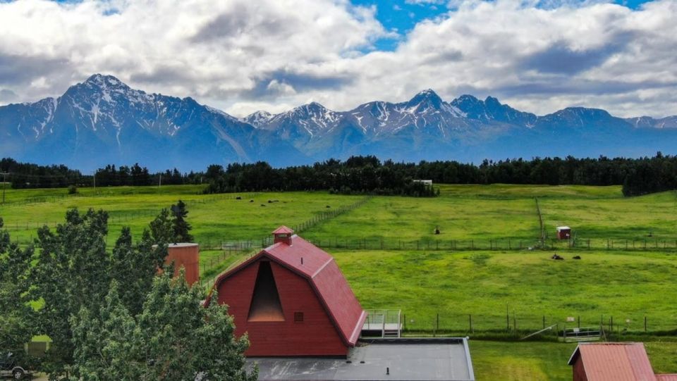 From Anchorage: Scenic Drive and Guided Musk Ox Farm Tour - Learning About Musk Ox Domestication