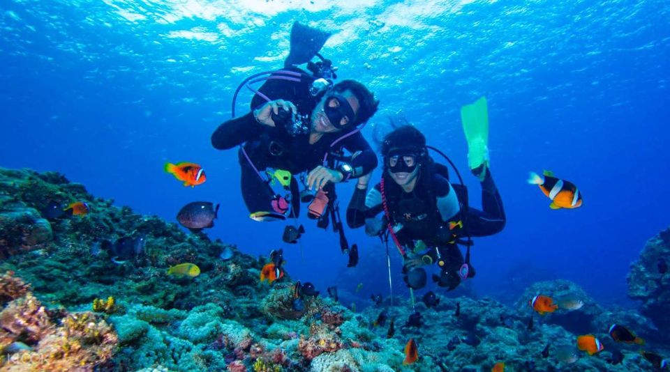 From Bodrum: Scuba Diving in the Aegean Sea - Included in the Tour