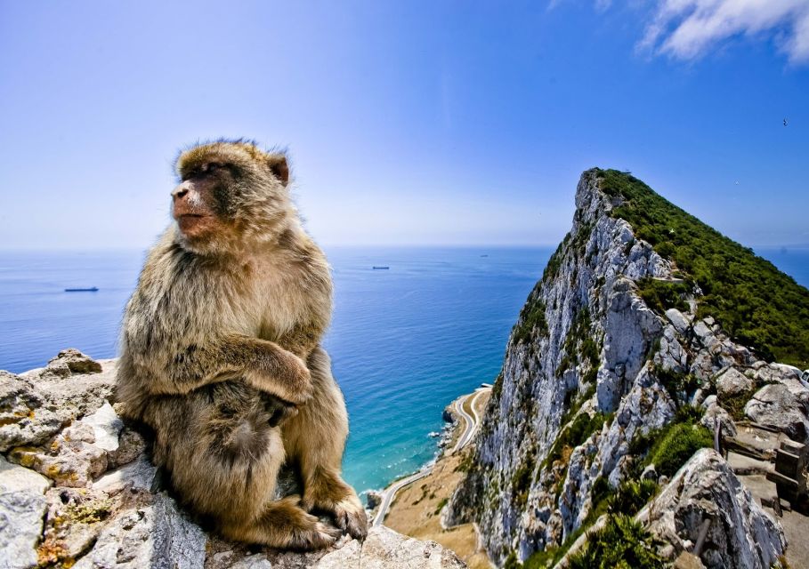 From Cádiz: Private Day Trip to Gibraltar & Vejer Tour - Exploring the Rock of Gibraltar