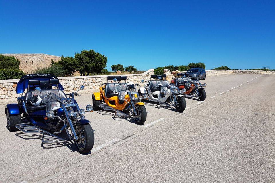 From Cala Millor: Mountains & Sea Panorama Trike Tour - Requirements