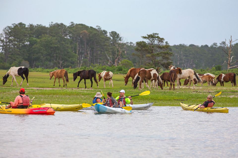 From Chincoteague: Guided Kayak Tour to Assateague Island - Tour Details