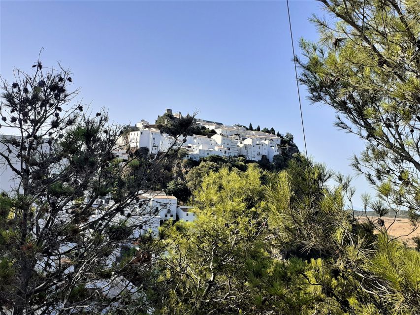 From Costa Del Sol: Casares Private Tour - Andalusian Nationalism and Identity