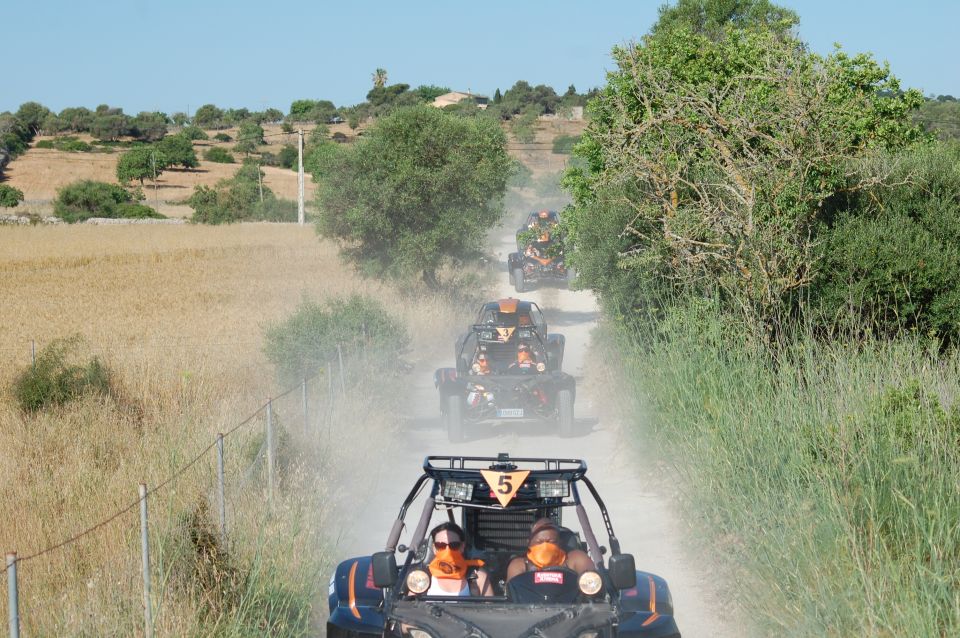 From East Mallorca: Guided Beach and Mountain Buggy Tour - Guided Experience