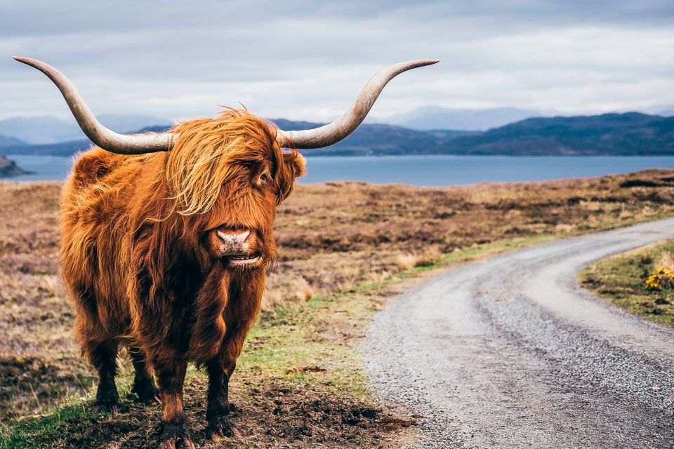 From Edinburgh: 3-Day Isle of Skye, Highlands & Loch Ness - Discovering Eilean Donan Castle