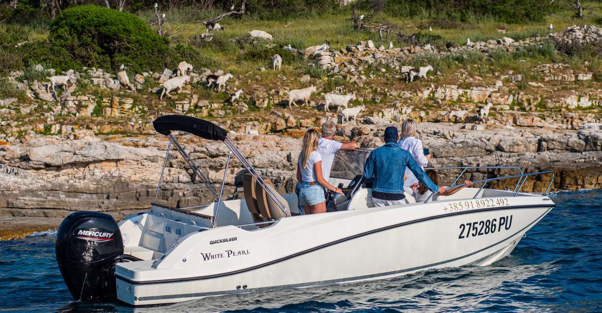 From Fažana: Private Boat Tour of Brijuni Islands - Island Activities on St. Jerome