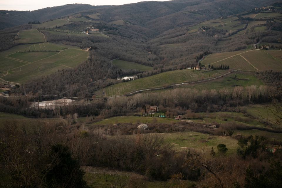 From Florence: Chianti Hills Wineries Tour With Tasting - Pick-up and Drop-off