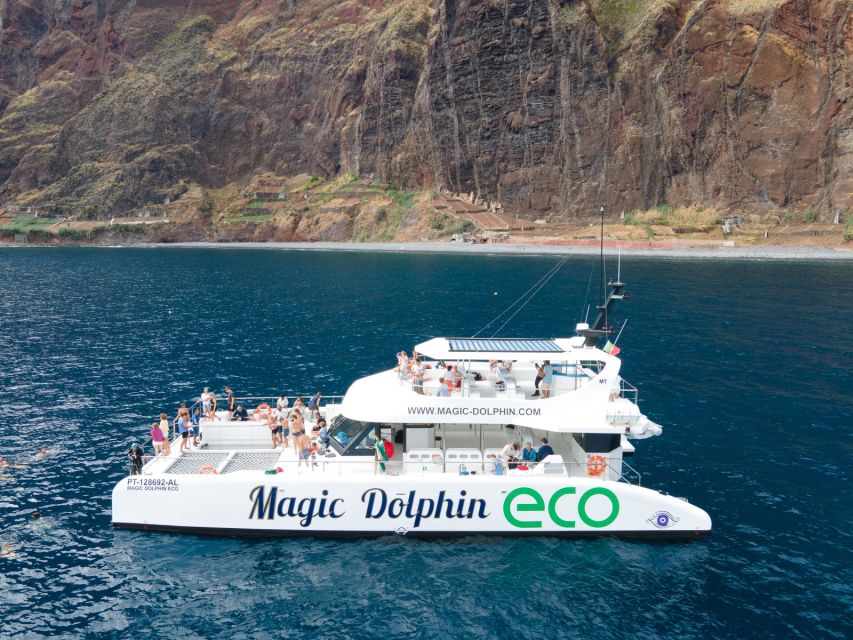 From Funchal: Ecological Catamaran Dolphin Whale Watching - Wildlife Viewing