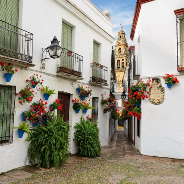 From Granada: Córdoba Highlights. Day Trip - Roman Bridge and Gate