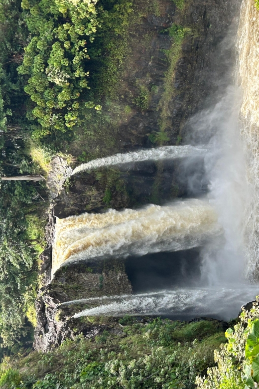 From Hilo: Hawaii Volcanoes National Park Tour - Explore the Thurston Lava Tube