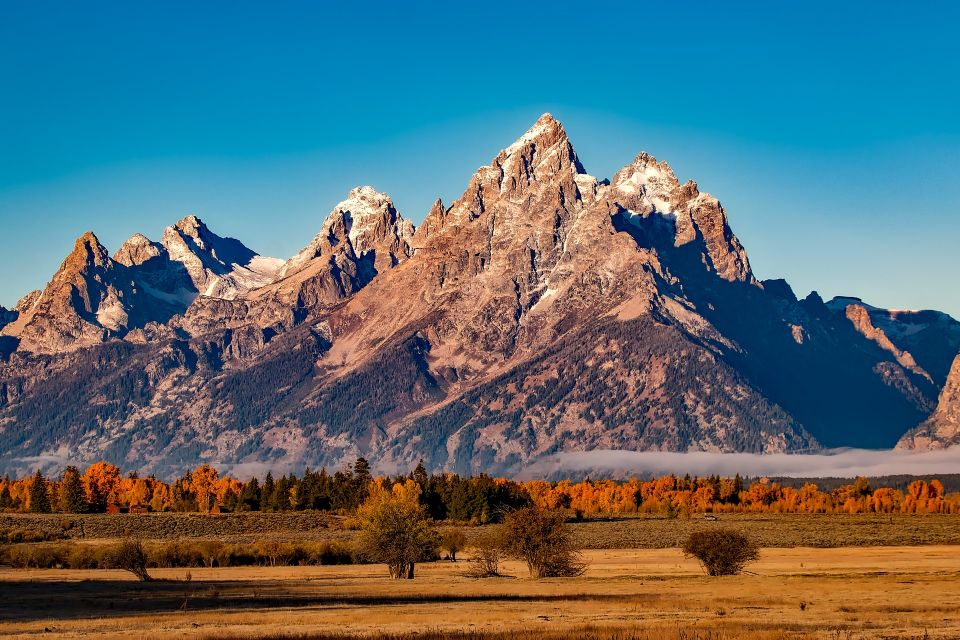 From Jackson: Half-Day Grand Teton National Park Tour - Pickup and Meeting Location