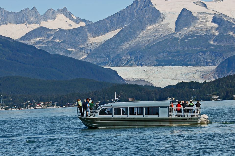 From Juneau: Whale Watching Cruise With Snacks - Whale and Wildlife Spotting