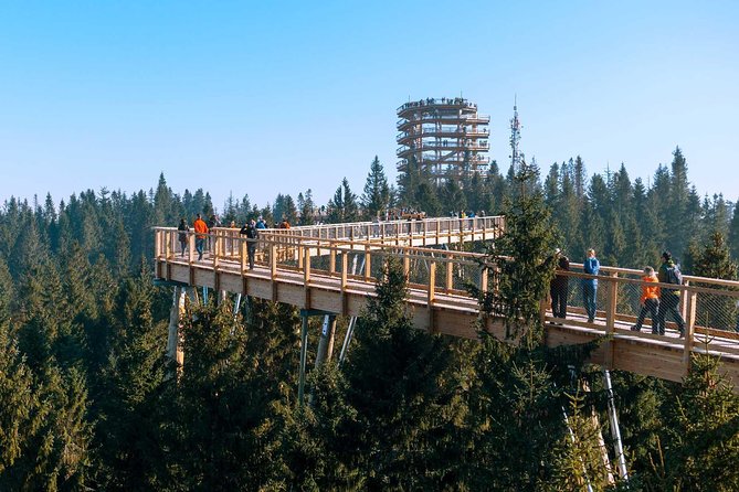 From Krakow: Slovakia Treetop Walk Bachledka and Zakopane - Option to Descend via Slide