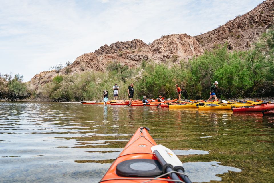 From Las Vegas: Black Canyon Half-Day Kayak Tour - Group Size and Duration