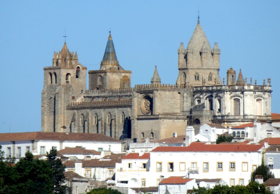 From Lisbon: Full-Day Évora and Almendres Cromlech Tour - Alentejo Landscape