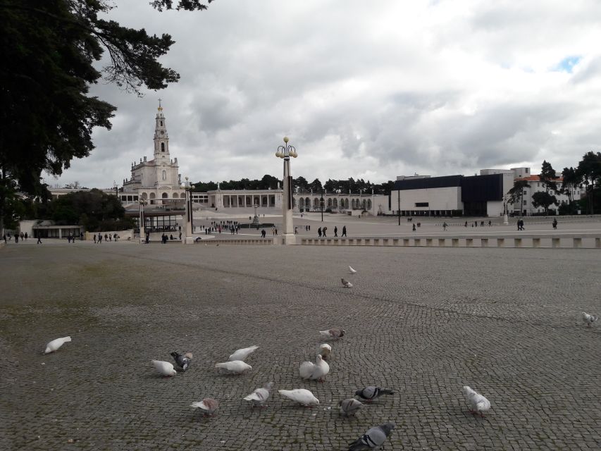 From Lisbon: Half-Day Fatima Tour - Highlights