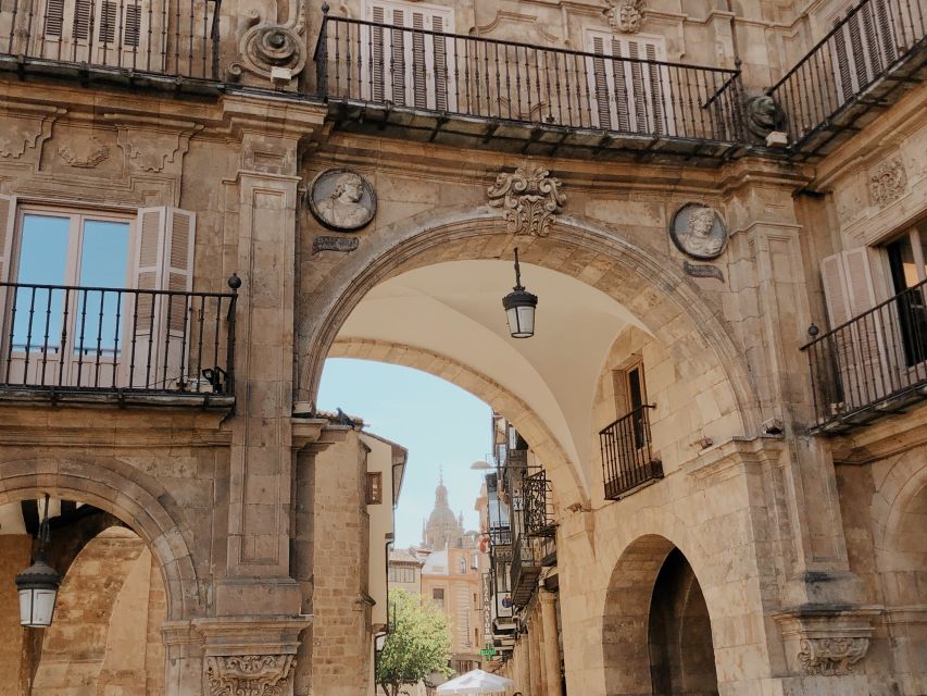 From Madrid: Day Trip to Salamanca With Private Tour - Admiring Baroque Architecture