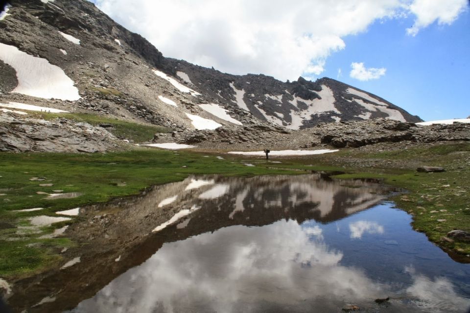 From Malaga: Day Trip to the Sierra Nevada - Learning About the Local Flora and Fauna