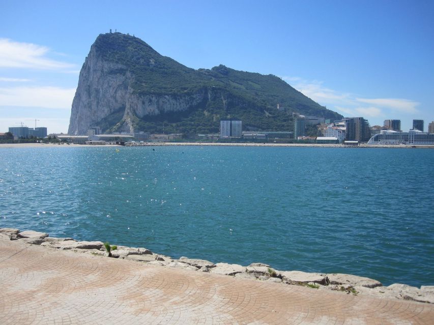 From Malaga: Rock of Gibraltar Private Skip-the-Line Tour - Free-roaming Primates in Europe