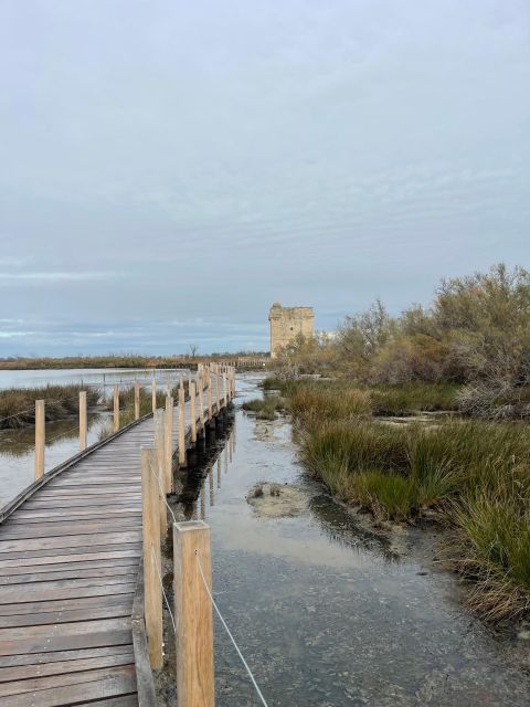 From Montpellier: Camargue and Salt Marshes Guided Tour - Salins Daigues-Mortes