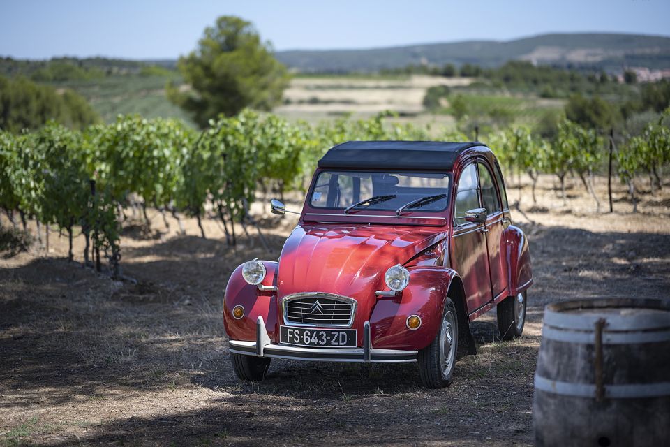 From Montpellier: Winery Tour in a Vintage Citroën 2CV - Vintage Car Rides