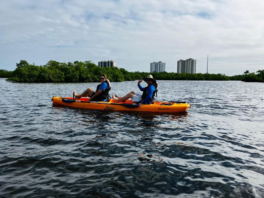 From Naples, FL: Marco Island Mangroves Kayak or Paddle Tour - Guided Tour and Language Options