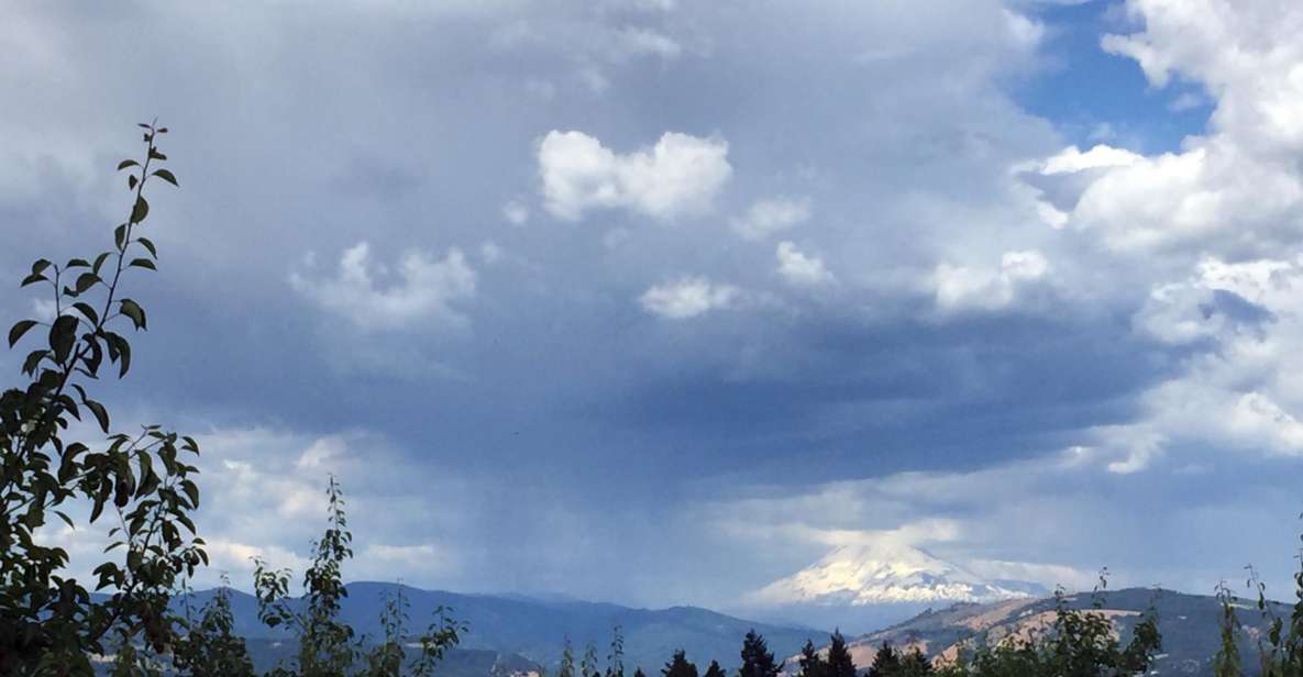 From Portland: Mt Hood, Hood River Valley and Columbia Gorge - Group Size and Language