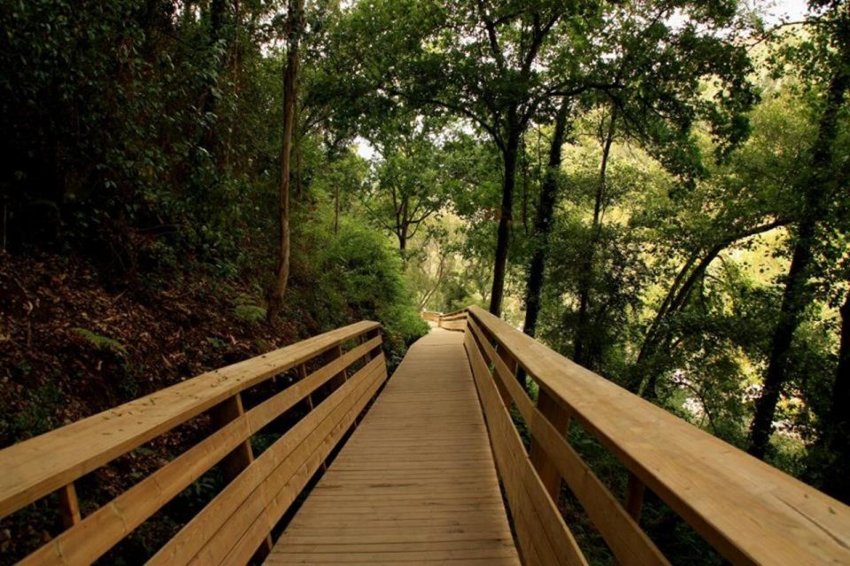 From Porto: 516 Arouca Bridge and Paiva Walkways Guided Tour - Transportation and Meeting Point