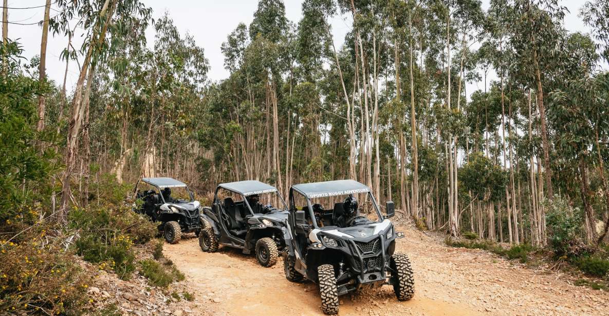 From Porto: Off-Road Buggy Adventure - Buggy Rental and Inclusions