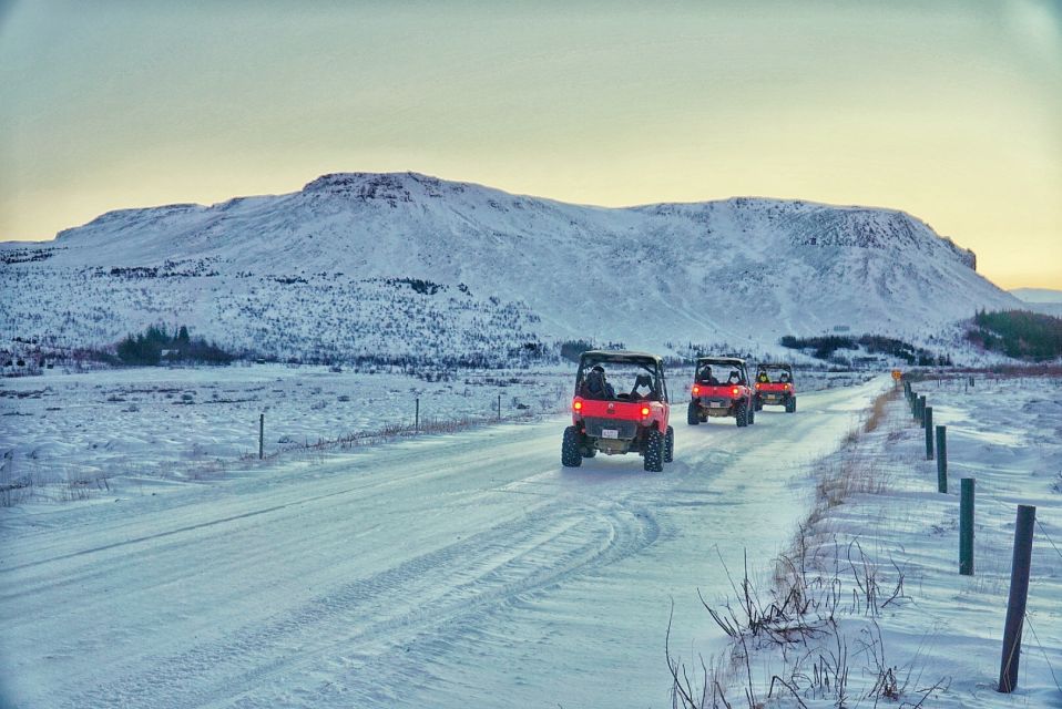 From Reykjavik: Buggy & Whale Watching Adventure - Whale Watching Highlights