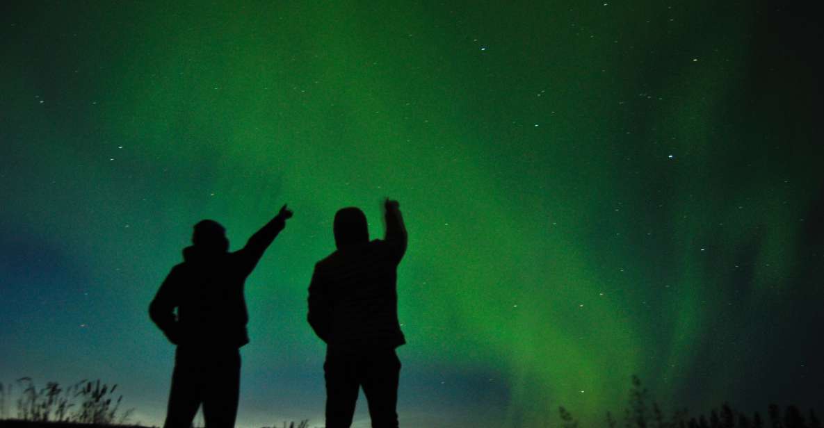 From Reykjavik: Northern Lights Chase With Hot Chocolate - Witnessing the Northern Lights