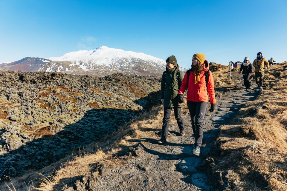 From Reykjavik: Snæfellsnes Peninsula Full-Day Tour - Highlights of the Tour