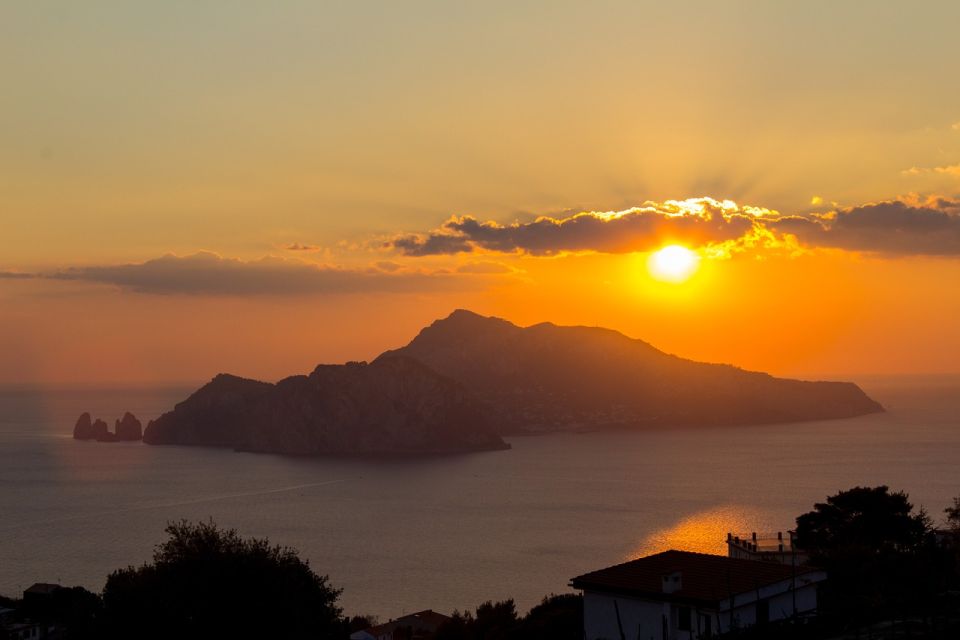 From Rome: Capri Island Private Tour by Lamborghini - Mediterranean Flora and Fauna