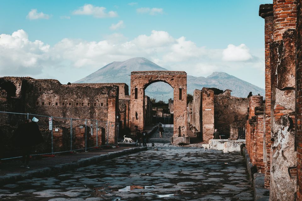 From Rome: Pompeii Private Full-Day Trip With Tour - Highlights