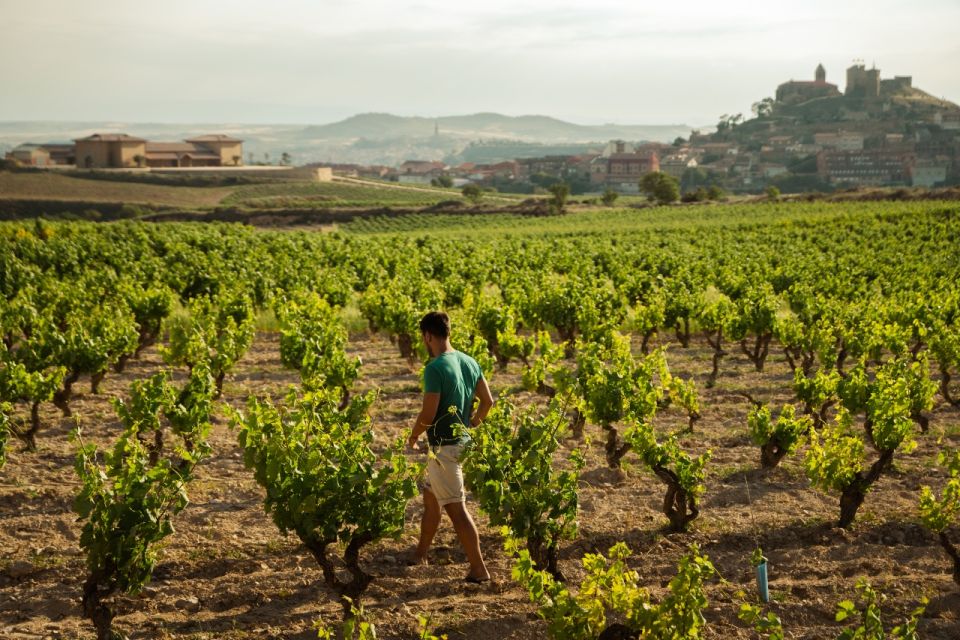 From San Sebastián: La Rioja Wine Region Day Tour - Winery Visits and Wine Tastings