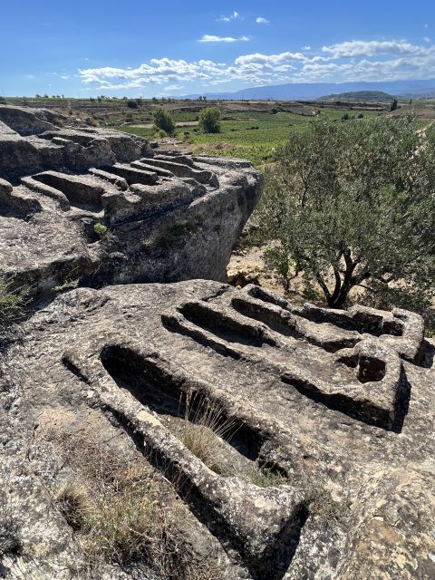 From San Sebastian: Rioja Private Day Trip With Wine Tasting - Meet the Passionate Winemakers