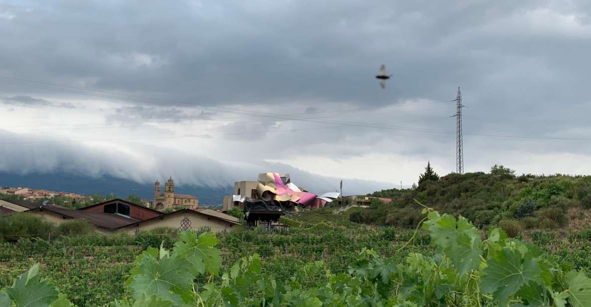 From San Sebastian: Rioja Wine Tour - Inclusions and Pricing