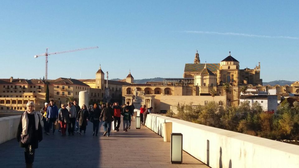 From Seville: Full-Day Essential Córdoba Tour - Marveling at the Alcazar