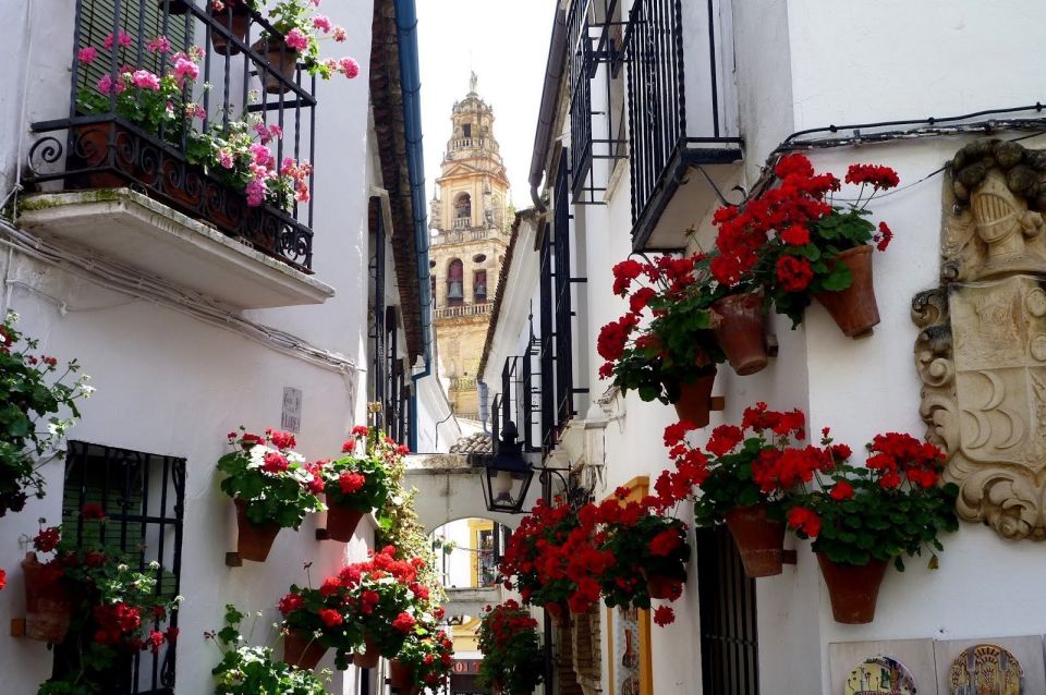 From Seville: Private Transfer to Granada and Cordoba Tour - Cordoba Tour Highlights