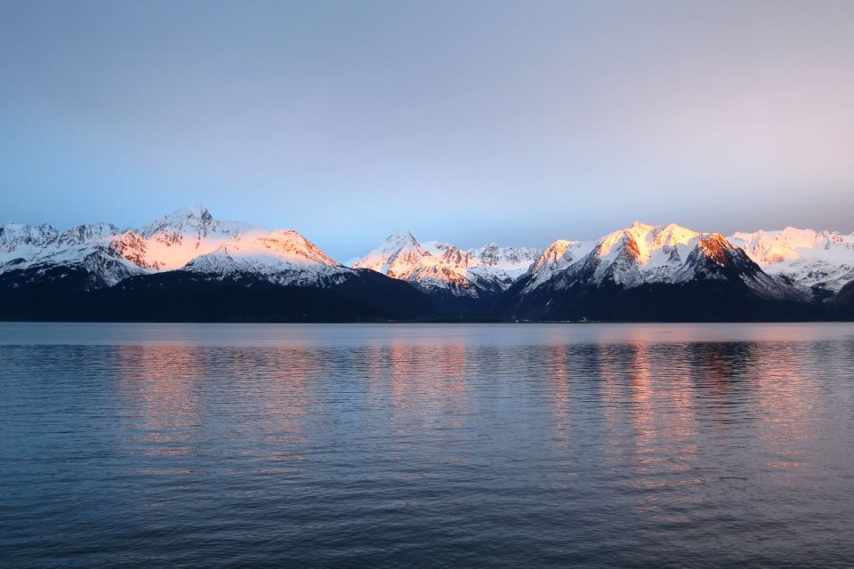 From Seward: Half-Day Resurrection Bay Wildlife Cruise Tour - Cruise Features