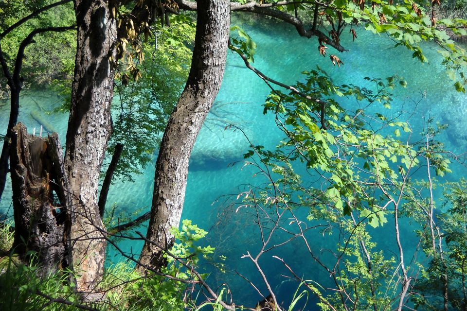 From Split: Plitvice Lakes Fully-Guided Day Tour - Park Features