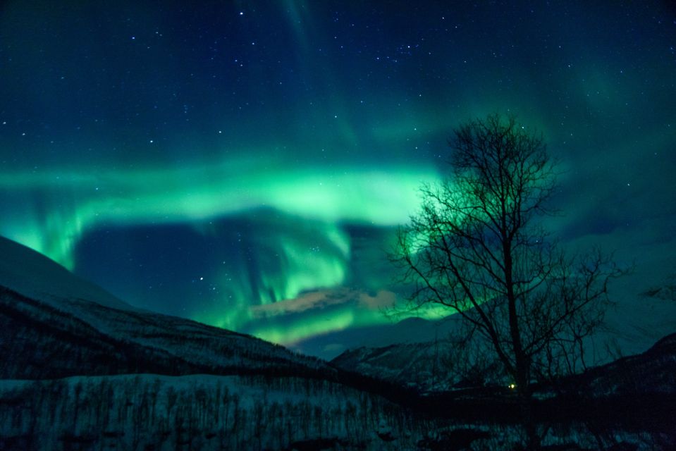 From Tromsø: Northern Lights Guided Bus Chase - Northern Lights Phenomenon