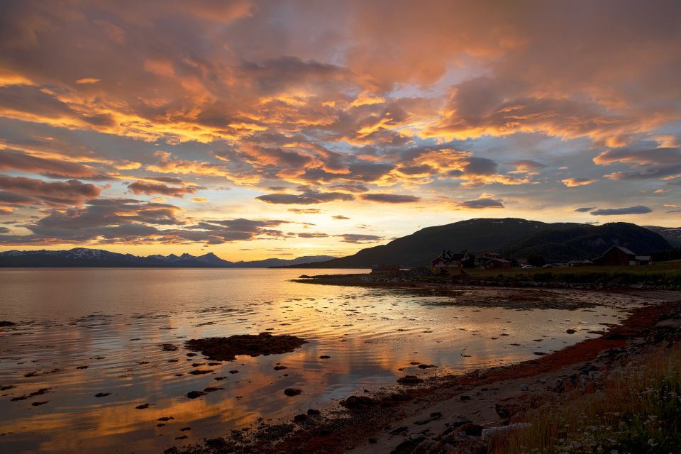 From Tromso: Norwegian Fjords Half-Day Tour - Icy Sandy Beaches