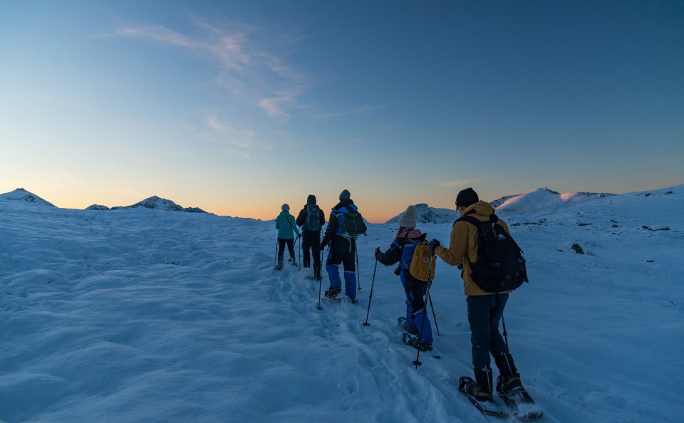 From Tromsø: Snowshoeing Hike With Picnic Lunch and Photos - Live Tour Guide and Language