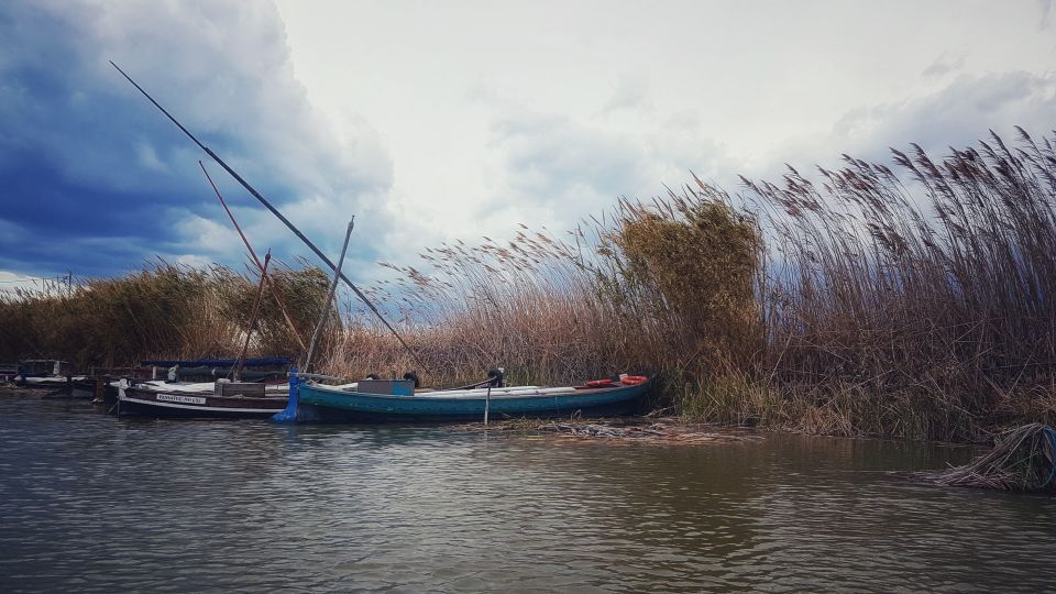 From Valencia: Private Albufera Van Tour With Boat Ride - Birthplace of Paella