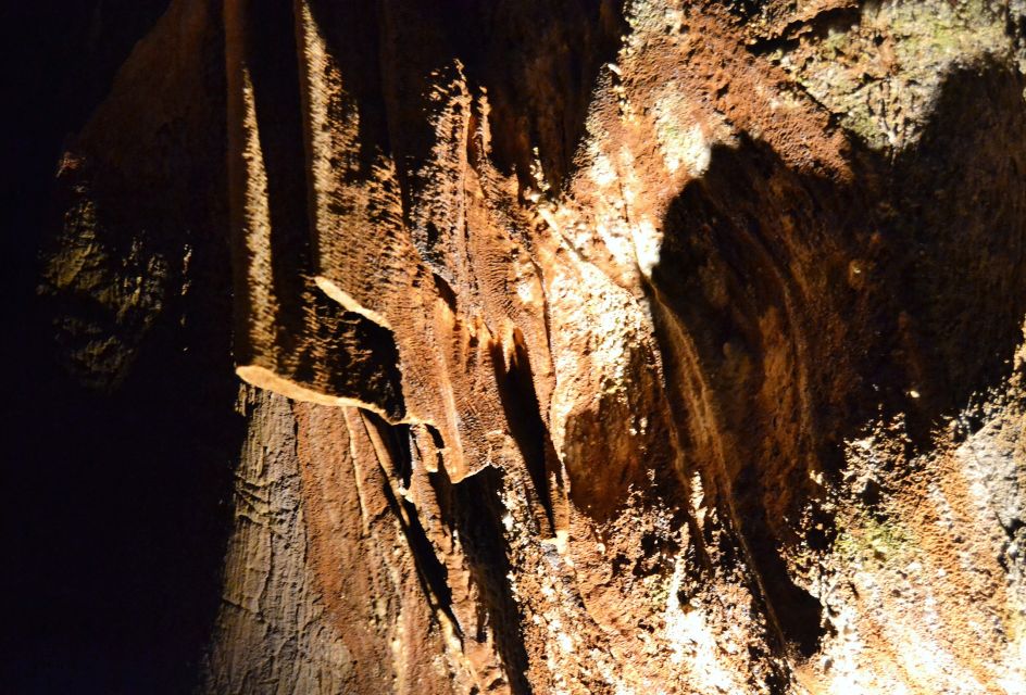 From Valencia: Private Half-Day Trip to Saint Joseph's Caves - Inclusions and Duration of the Tour