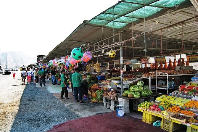 Fujairah Private Day Trip From Dubai With Lunch - Coastal Fishing Villages