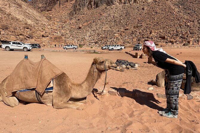 Full Day 4x4 Classic Desert Tour With Overnight in Private Tent - Inclusions in the Package