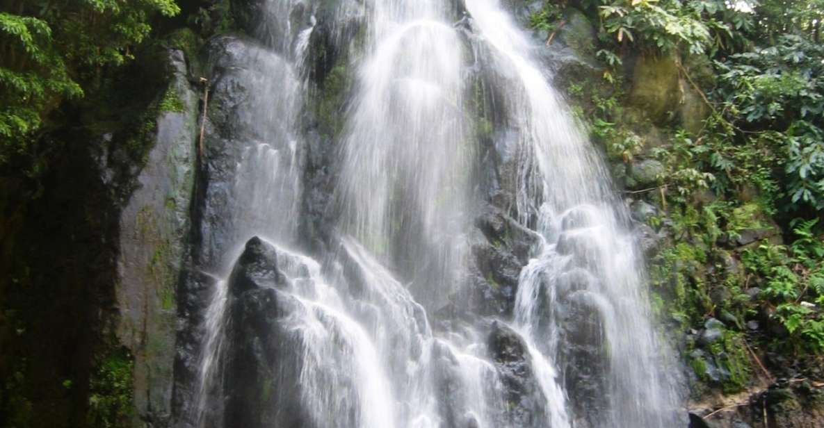 Full-Day 4x4 Nordeste Azores Tour From Ponta Delgada - Pico Bartolomeu and Tronqueira Trail