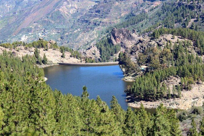 Full Day Hiking Gran Canaria Peaks of Gran Canaria - Physical Fitness Requirements