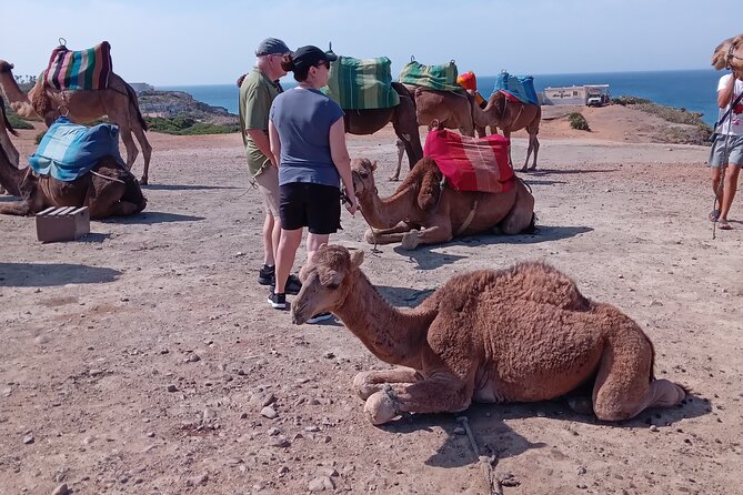 Full Day Private Tour of Tangier - Camel Riding Experience